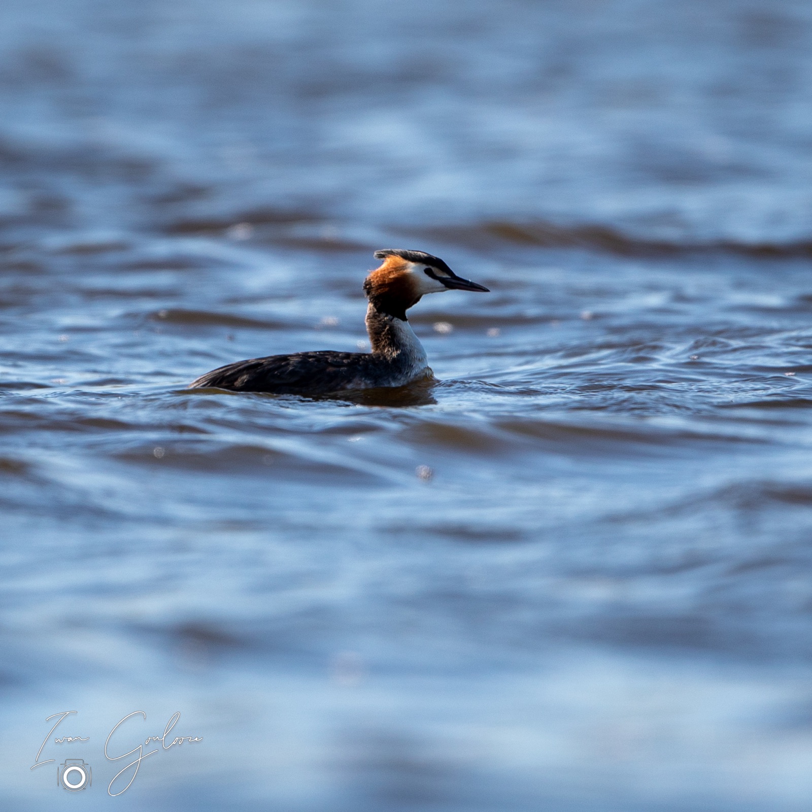 16 april 2022 171425  5D46222